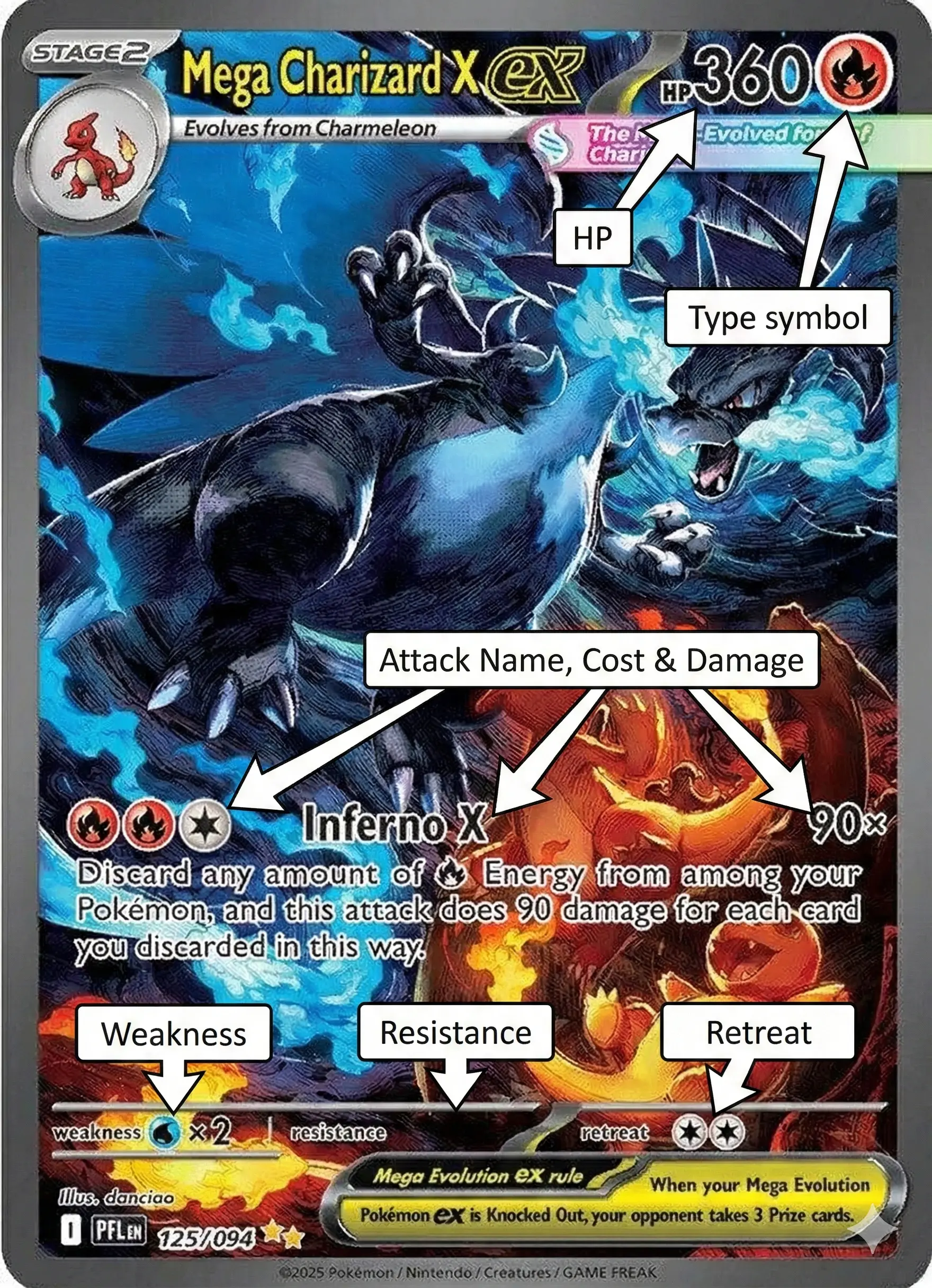 Pokemon card anatomy diagram